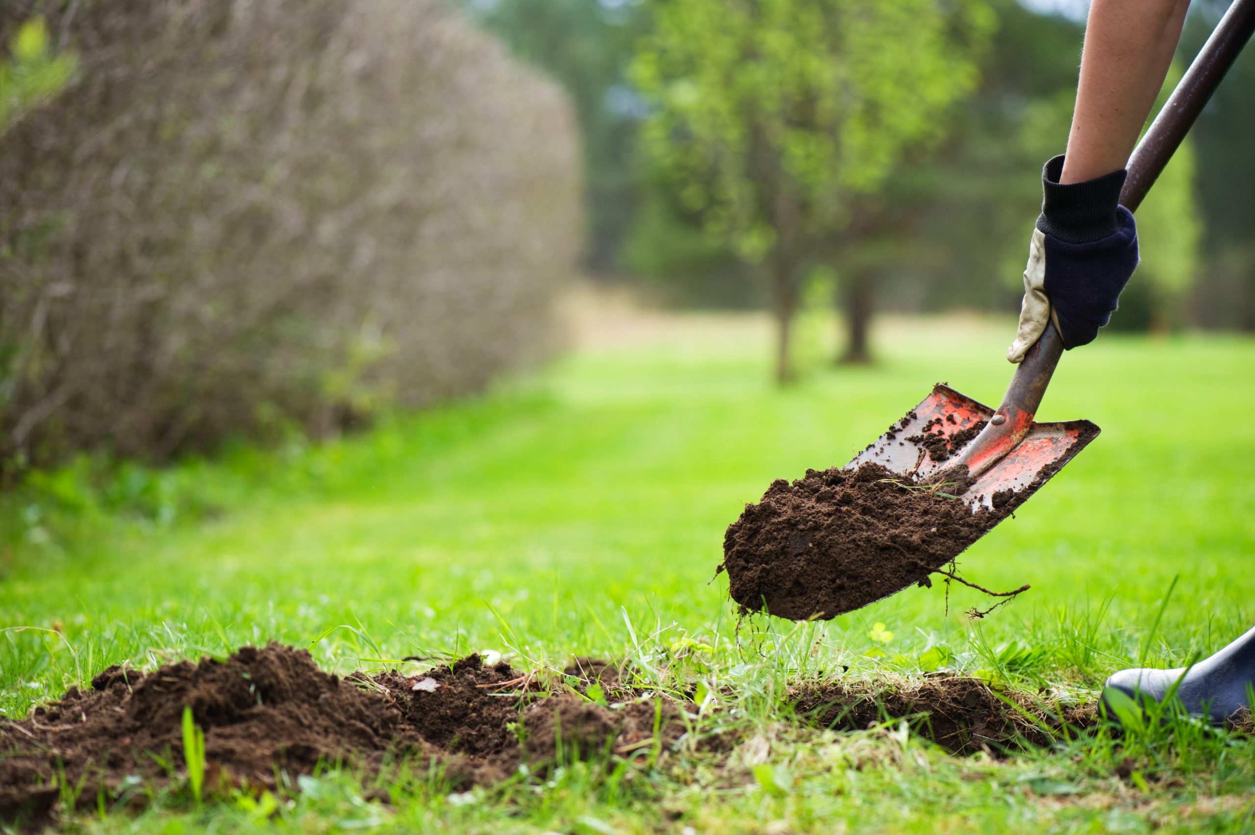 August 11 is National Safe Digging Day: Here’s the Scoop | UGI Utilities