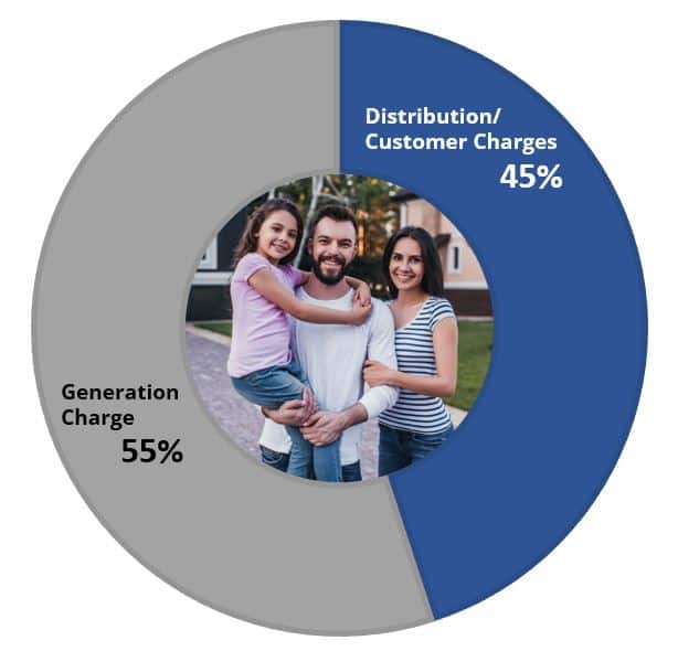 Pie Chart showing Generation Charge is 55% and Distribution/Customer Charges is 45%