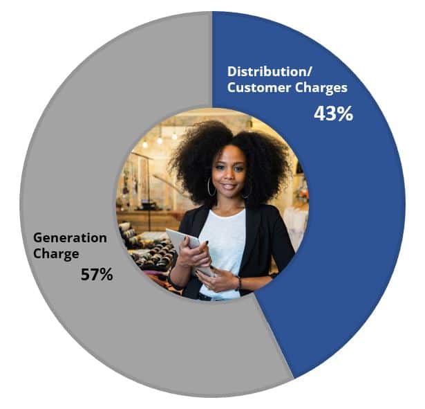 Pie Chart showing Generation Charge is 57% and Distribution/Customer Charges is 43%