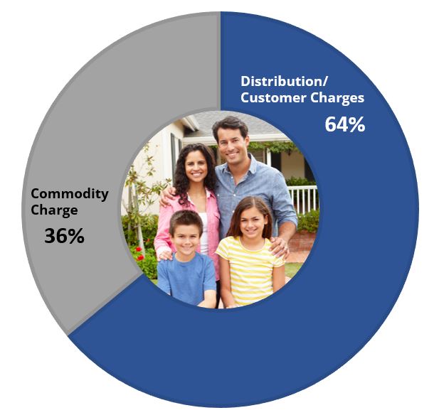 Pie Chart showing Commodity Charge is 36% and Distribution/Customer Charges is 64%