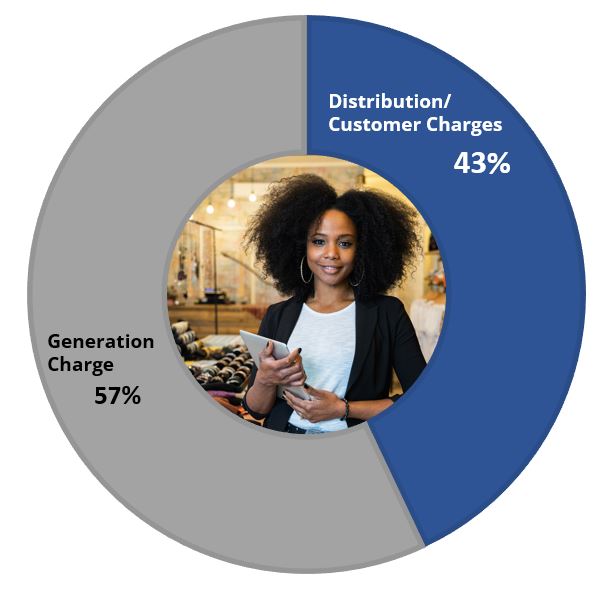 Pie Chart showing Generation Charge is 57% and Distribution/Customer Charges is 43%