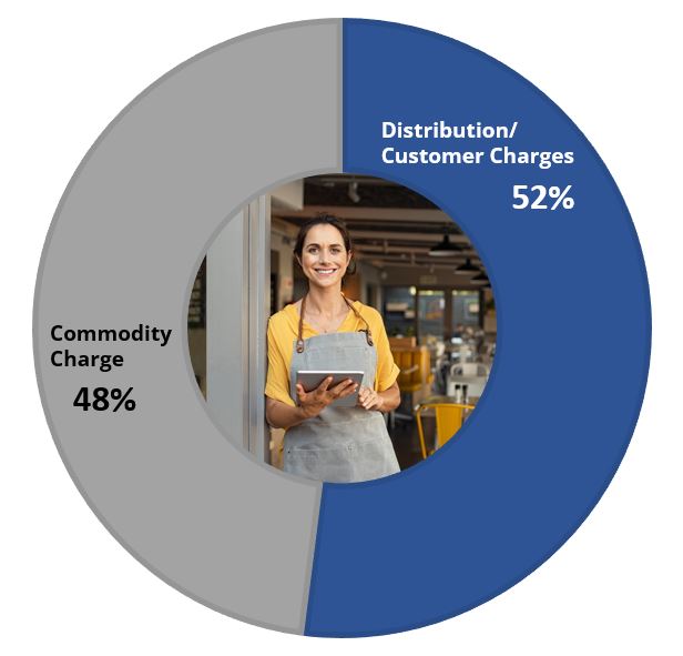 Pie Chart showing Commodity Charge is 48% and Distribution/Customer Charges is 52%