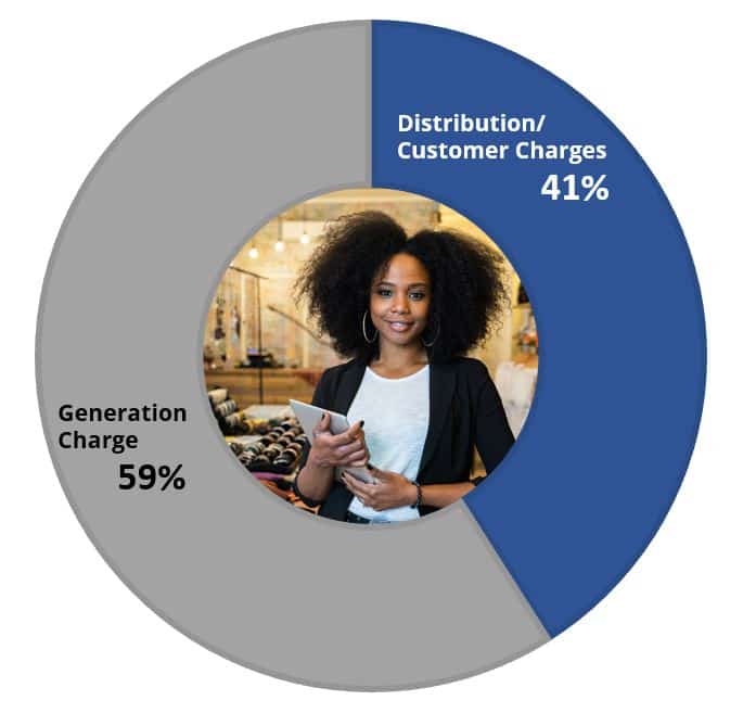 Pie Chart showing Generation Charge is 59% and Distribution/Customer Charges is 41%