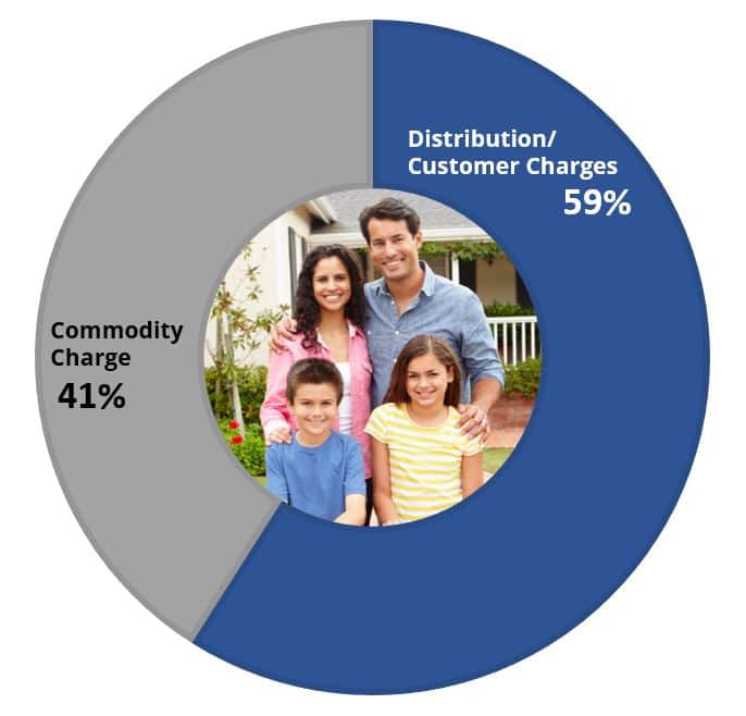 Pie Chart showing Commodity Charge is 41% and Distribution/Customer Charges is 59%