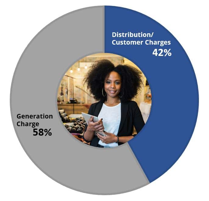 Pie Chart showing Generation Charge is 58% and Distribution/Customer Charges is 42%