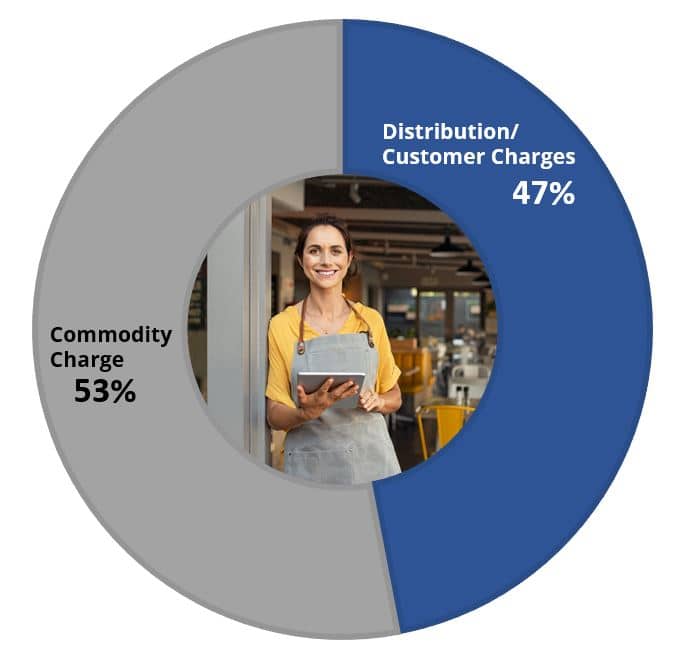 Pie Chart showing Commodity Charge is 53% and Distribution/Customer Charges is 47%