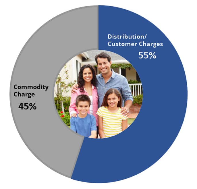 Pie Chart showing Commodity Charge is 41% and Distribution/Customer Charges is 59%