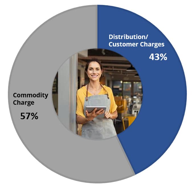 Pie Chart showing Commodity Charge is 53% and Distribution/Customer Charges is 47%