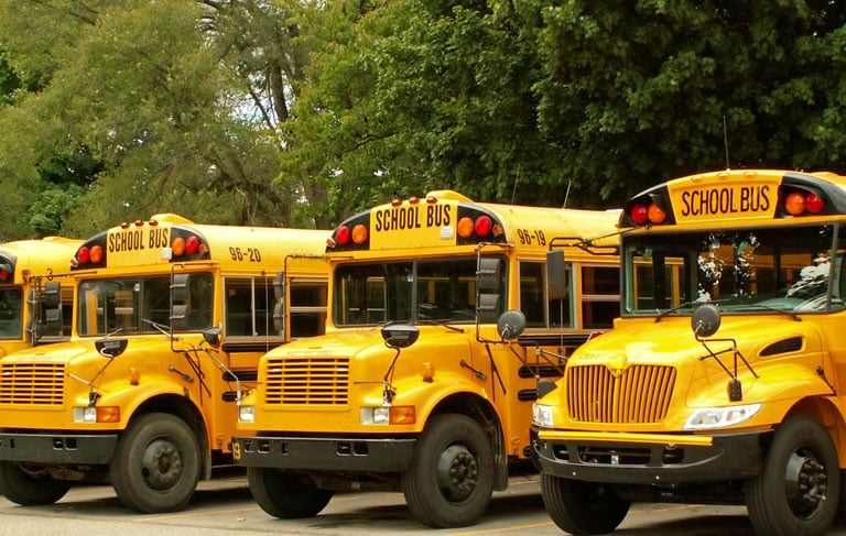Fleet of yellow school buses.
